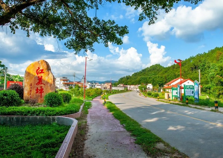 車在綠中行，人在畫中游！肇慶這些公路美出新境界
